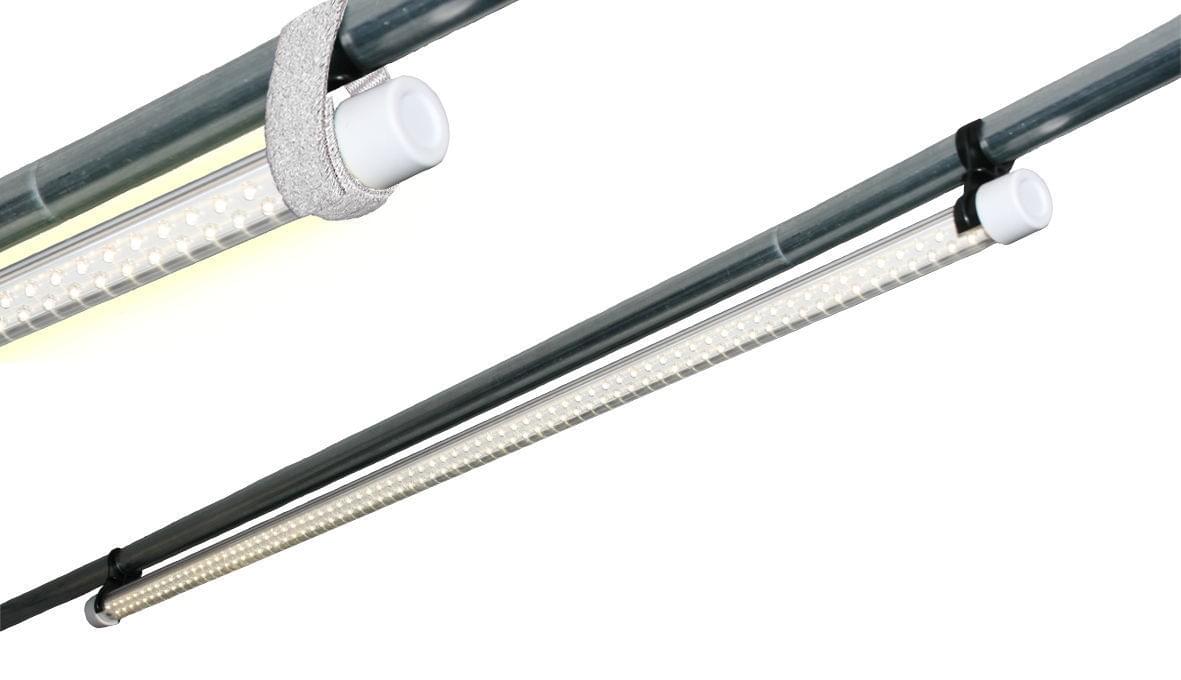 Crusader LED tentlamp buisvorm Insight