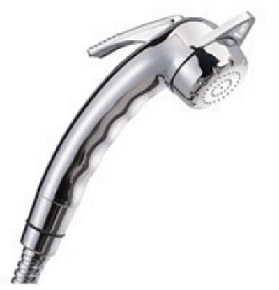 Reich Handdouche Wega Chroom