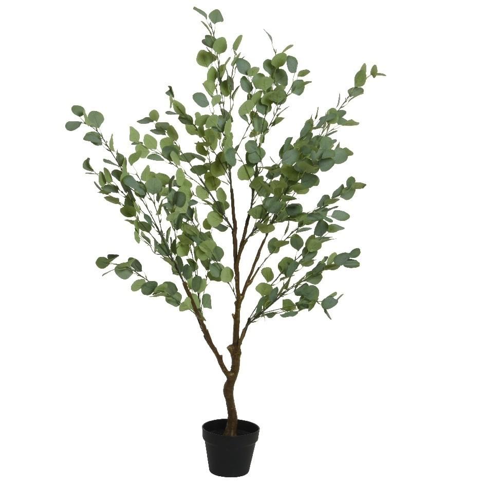 Decoris Decoratie Eucalyptus In Pot
