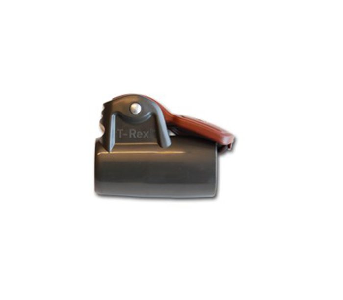 Isabella Isa T-Rex (3 St)